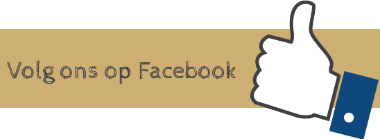 facebook2